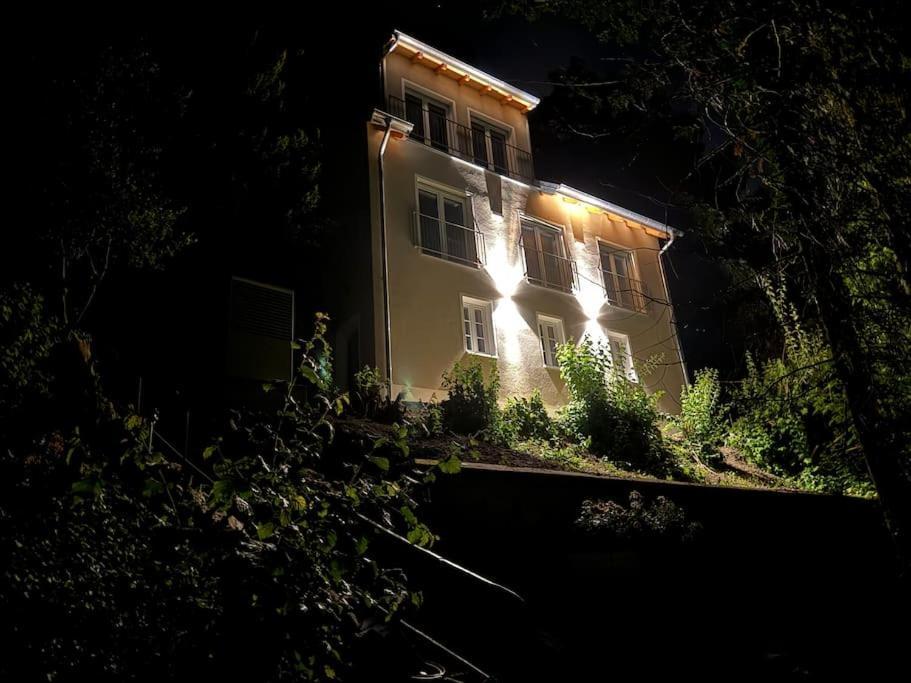Zur Donauinsel Apartment Bad Abbach Exterior photo