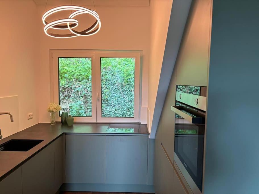 Zur Donauinsel Apartment Bad Abbach Exterior photo